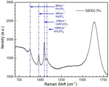 Load image into Gallery viewer, Tiger-Raman532 Raman Spectrometer